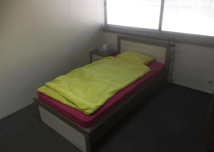 Datacom 니코시아